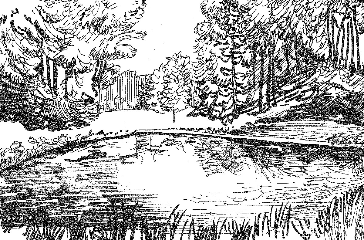 Sommerverstecke am Schwarzen Teich